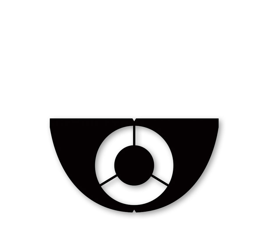 Solinco Logoschablone